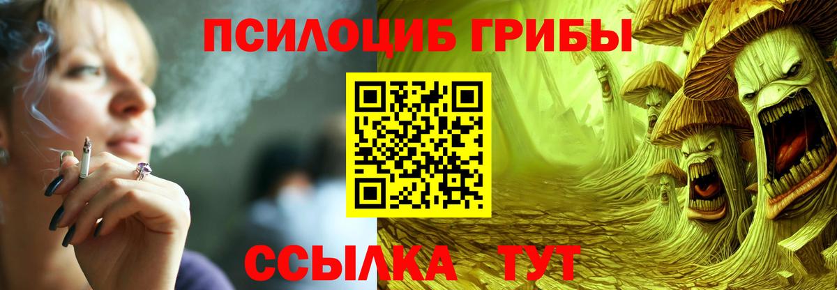 Псилоцибиновые грибы MAGIC MUSHROOMS  наркошоп  Кингисепп  Вход с VPN  Галлюциногенные грибы Cubensis 